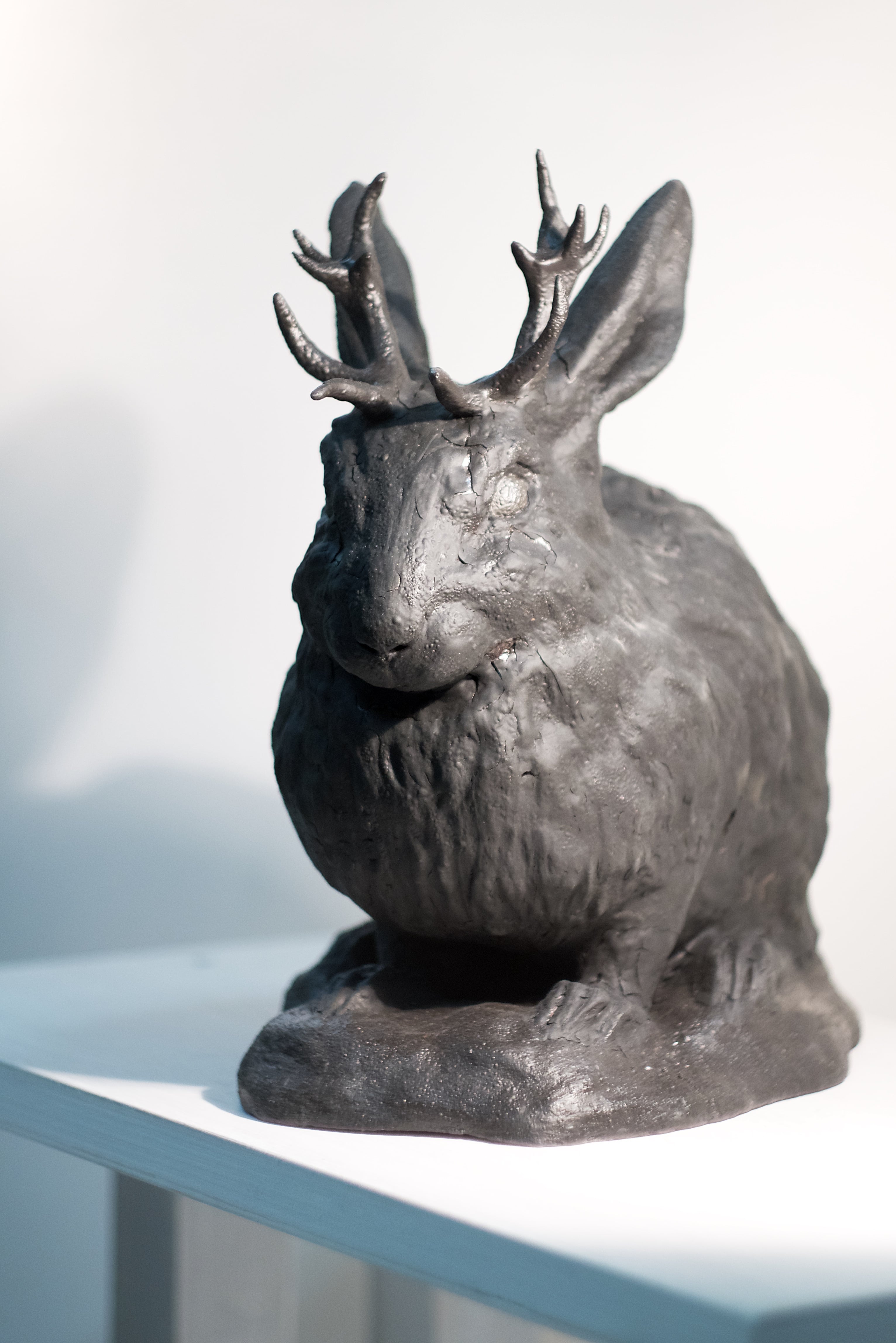 Jackalop, detail 1