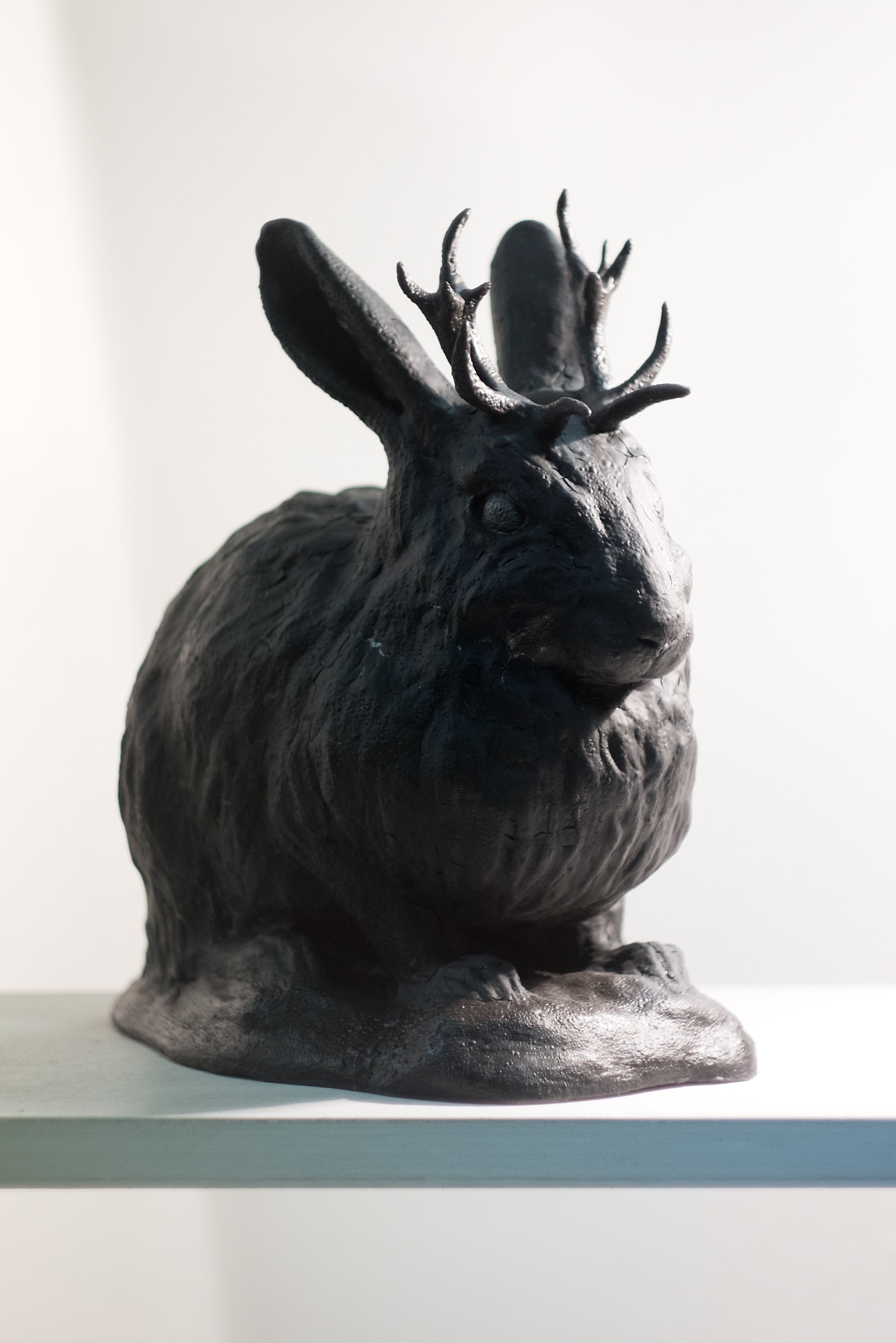 Jackalop, detail 2