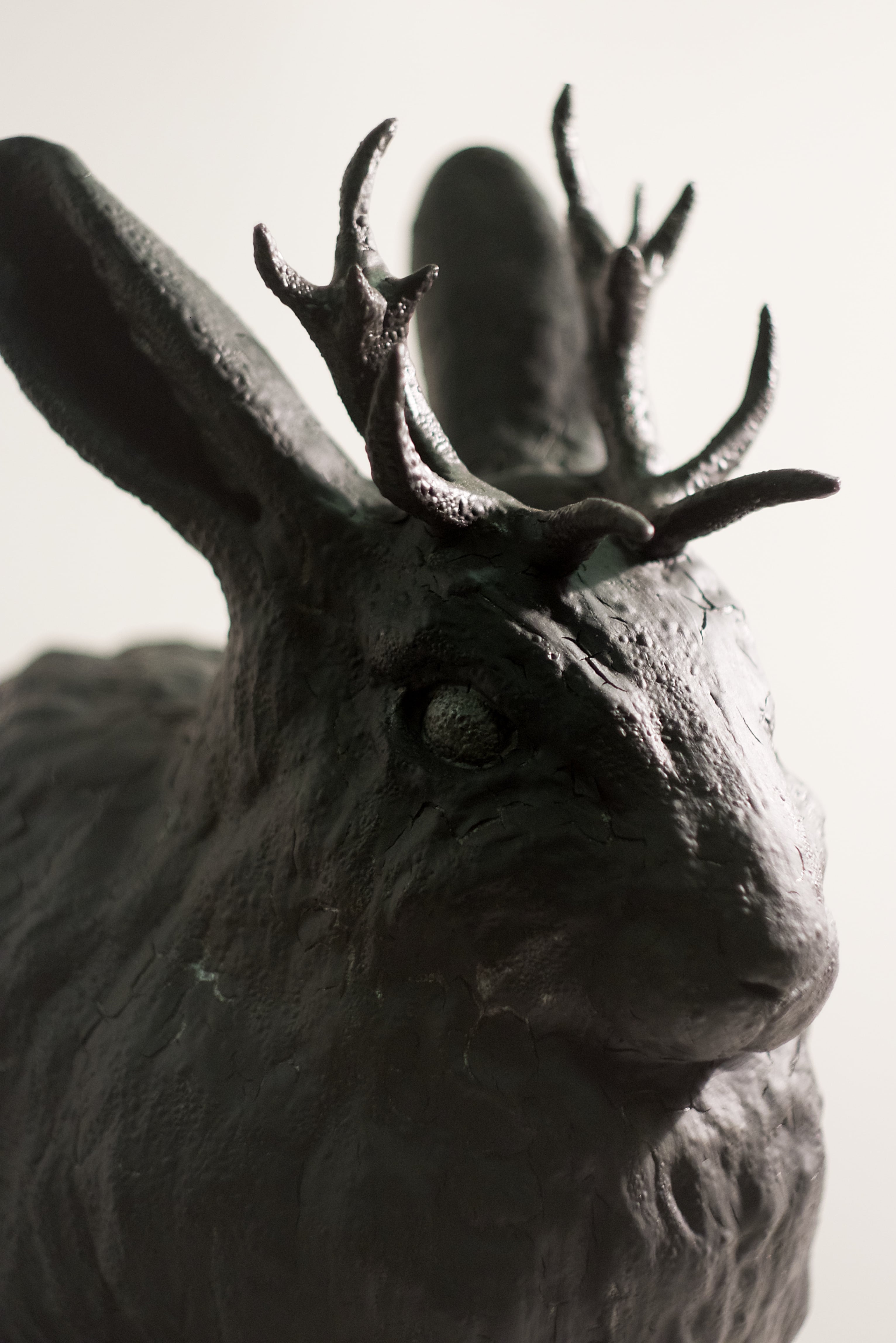 Jackalop, detail 3