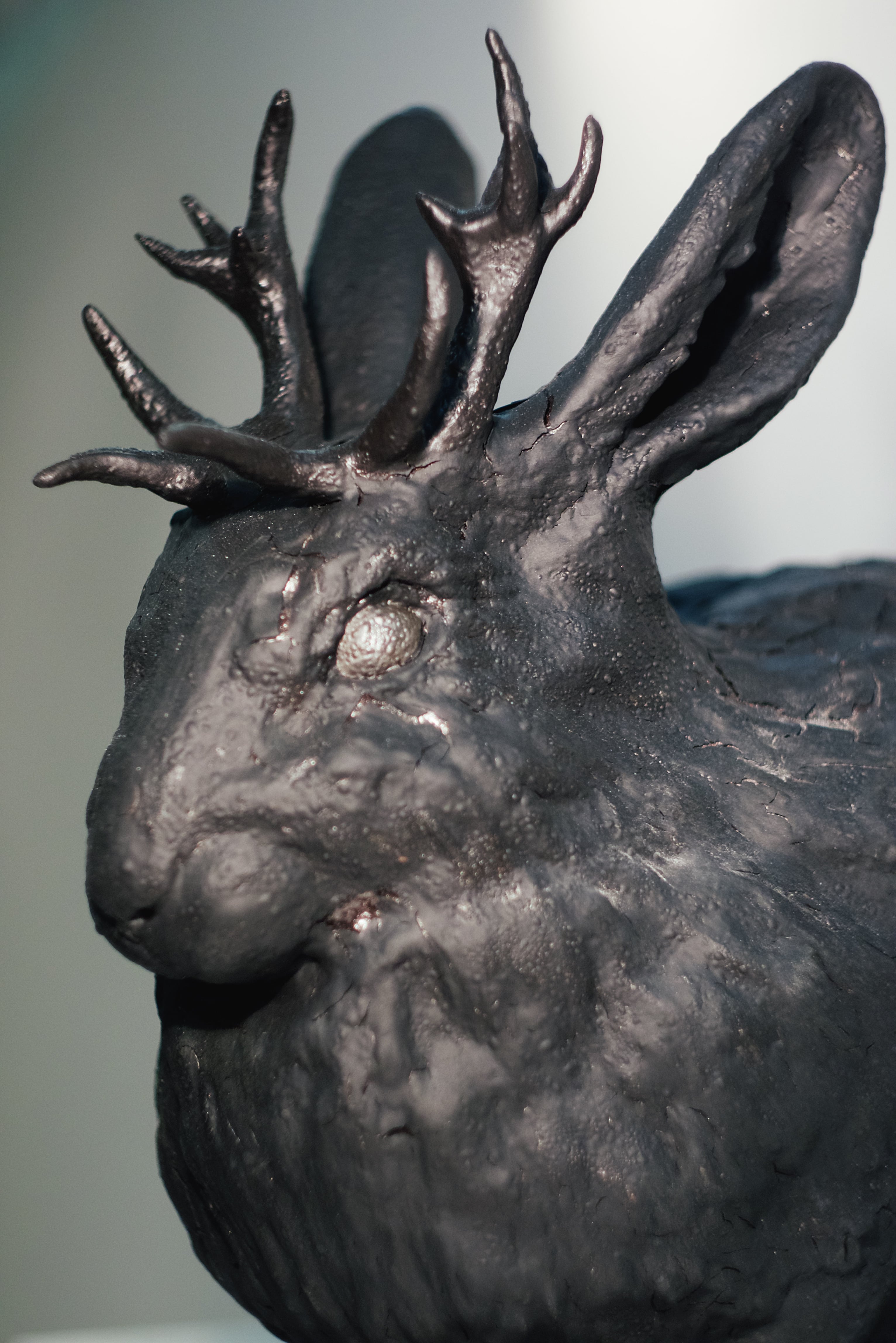 Jackalop, detail 5
