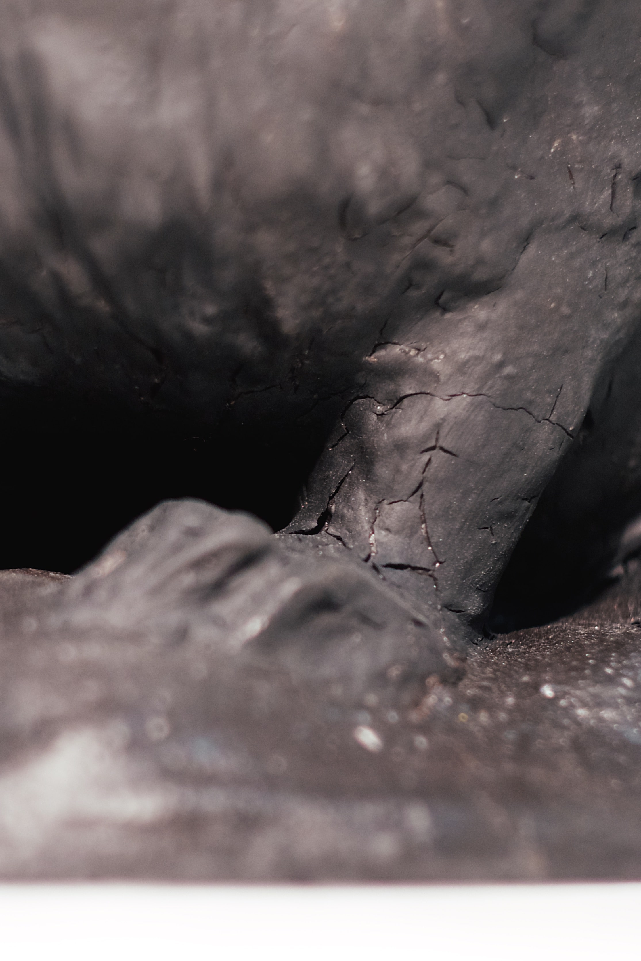 Jackalop, detail 6