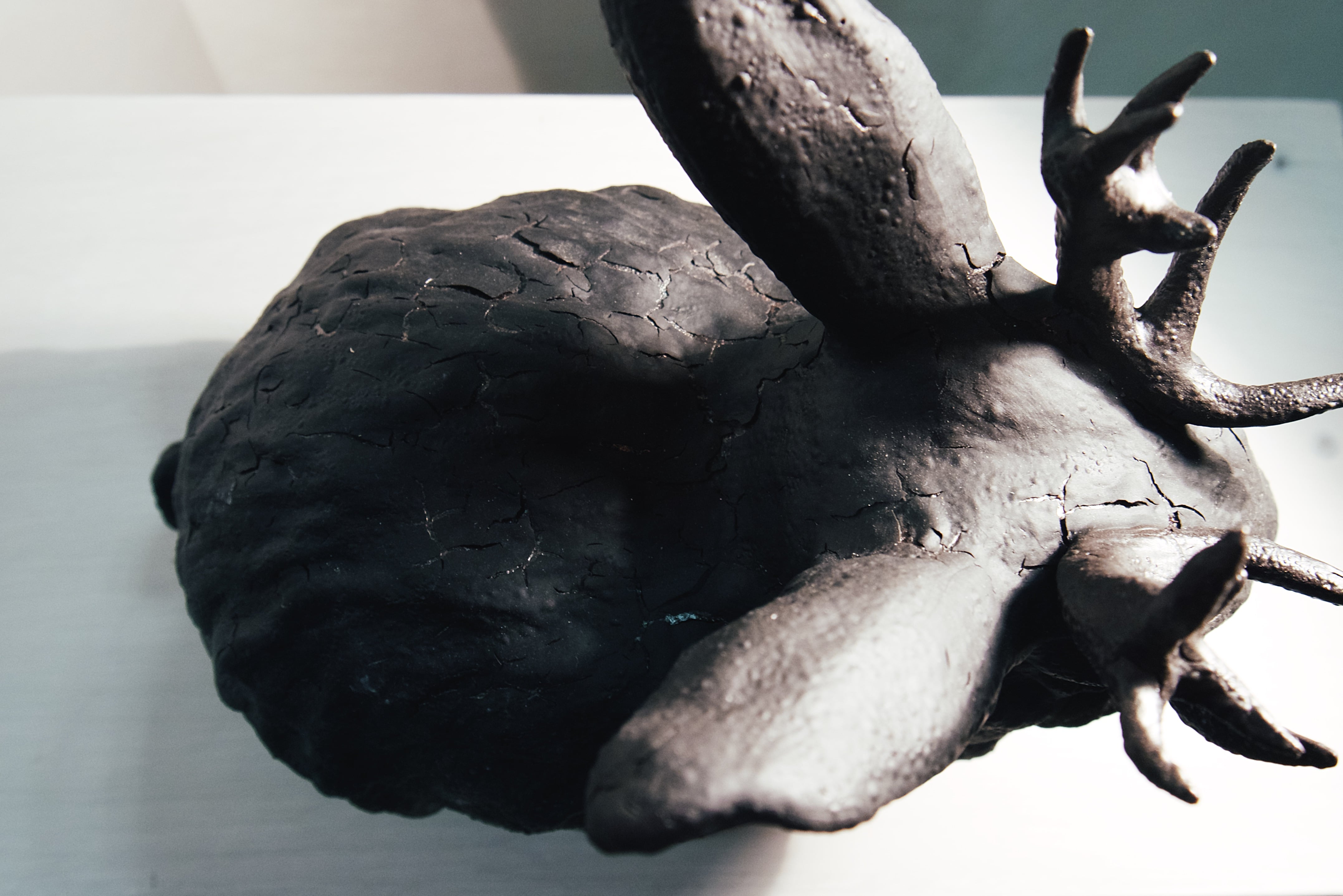 Jackalop, detail 7