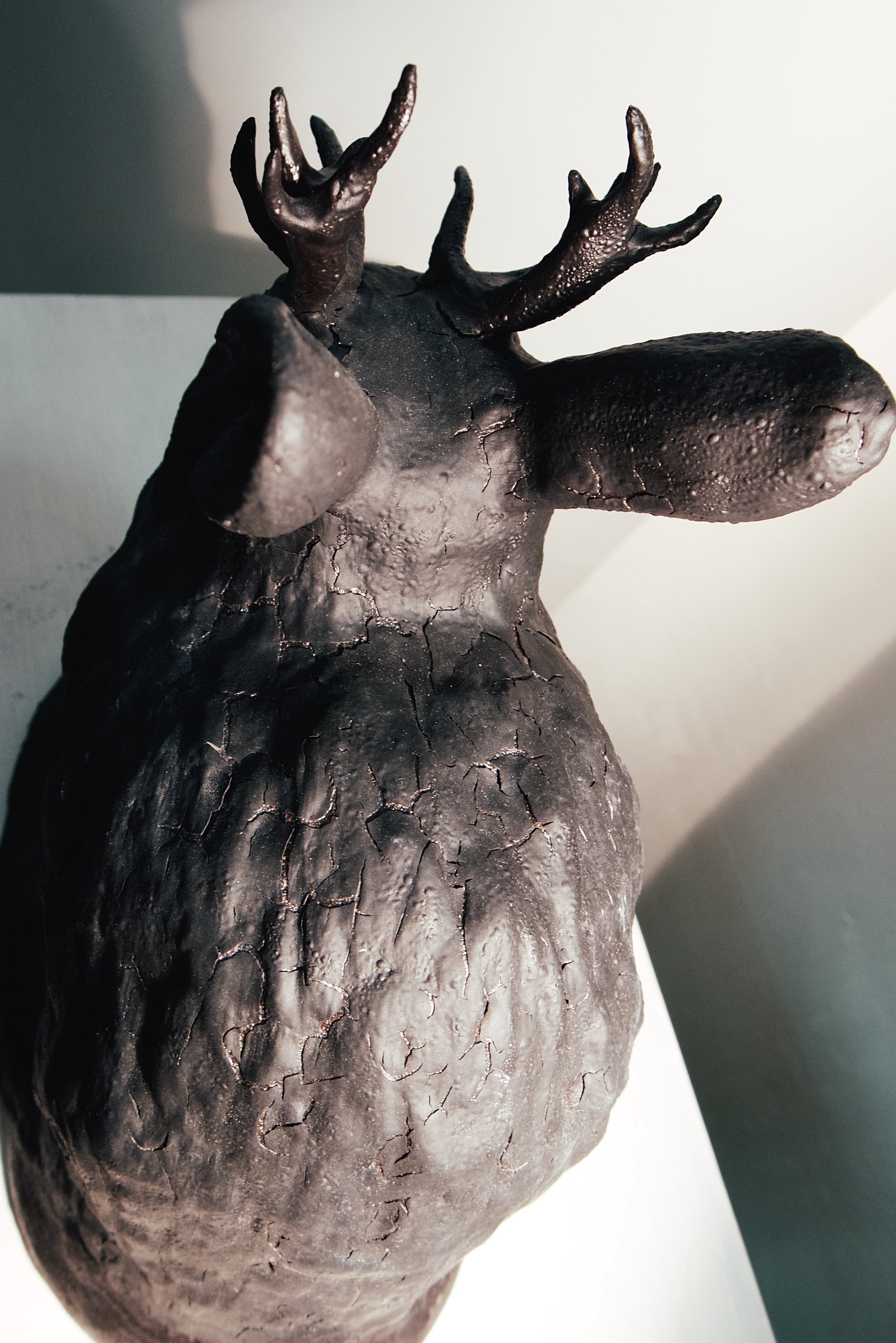 Jackalop, detail 8