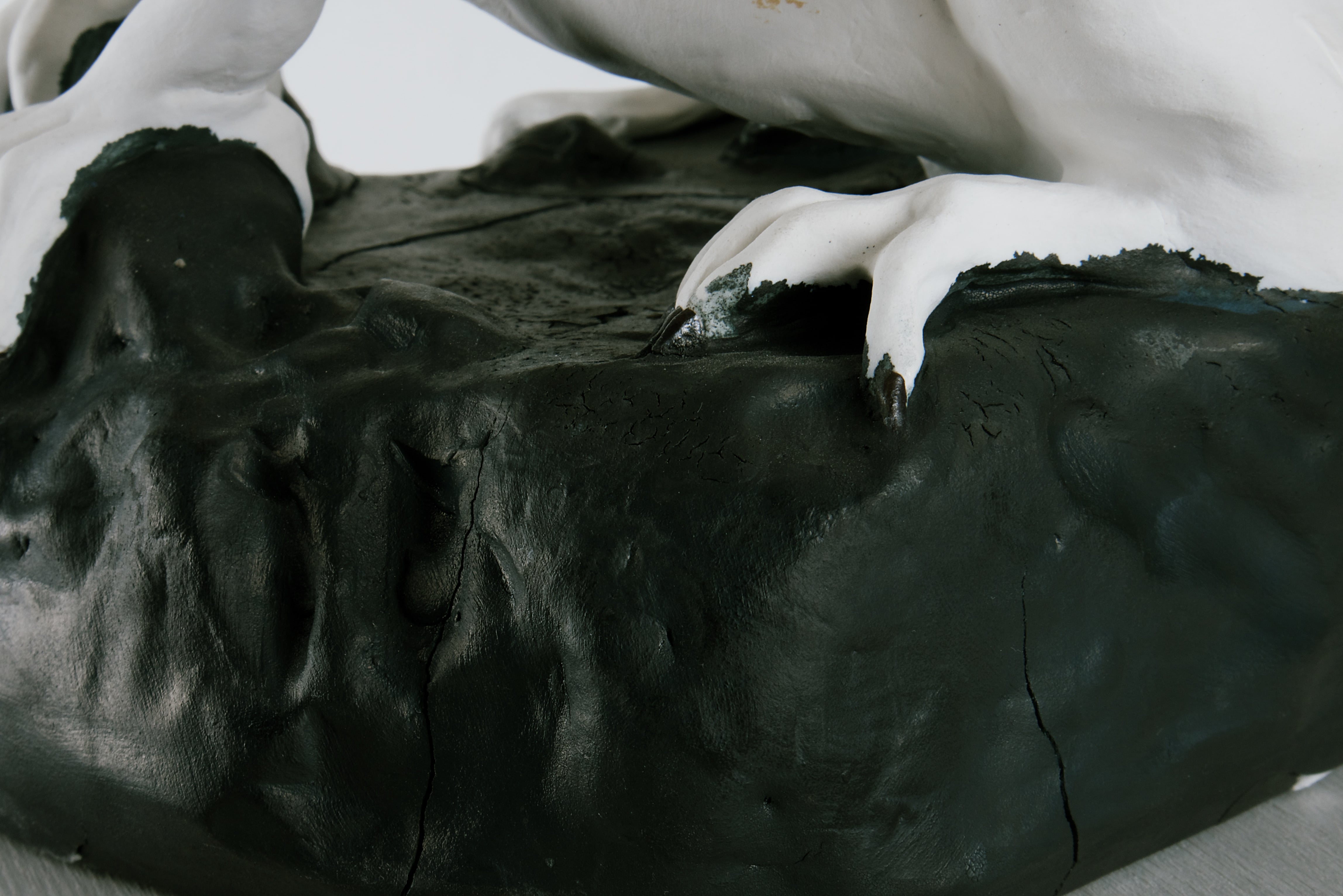 White dragon, detail 6